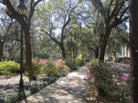 Savannah's historic district is the epitome of classic Old South.