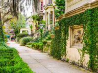Savannah is a walkable city. Stroll the sidewalks and experience the city. Smell the flowers. Hear the horse-drawn carriages. See the dappled sunlight raining down through the oak canopy.