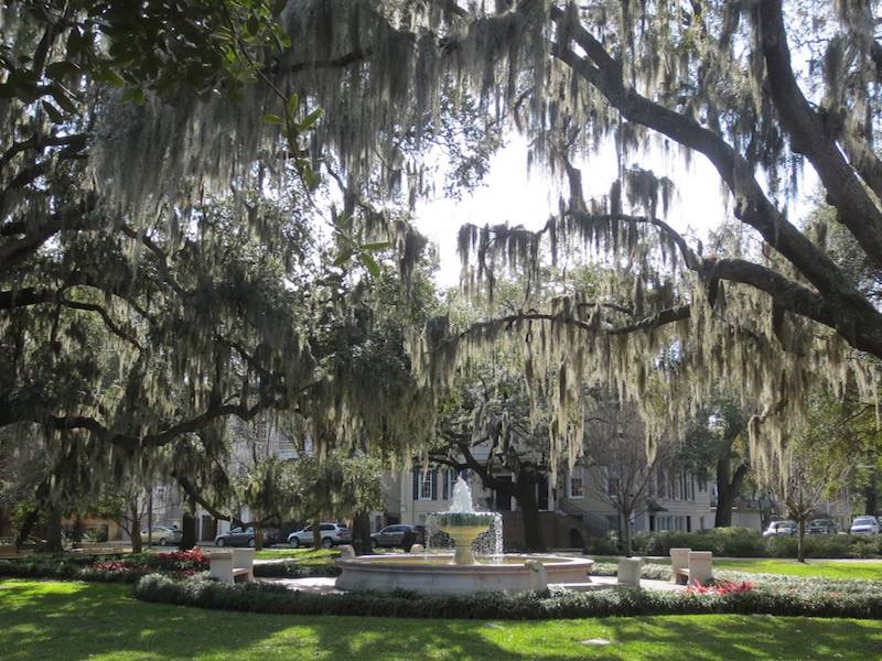 Savannah Historic District Old Southern Charm, Vigilantes for Justice Southern Cozy Mystery. Alan Chaput Author of Southern Mystery novels, Women Mysteries, Southern Fiction Novels.